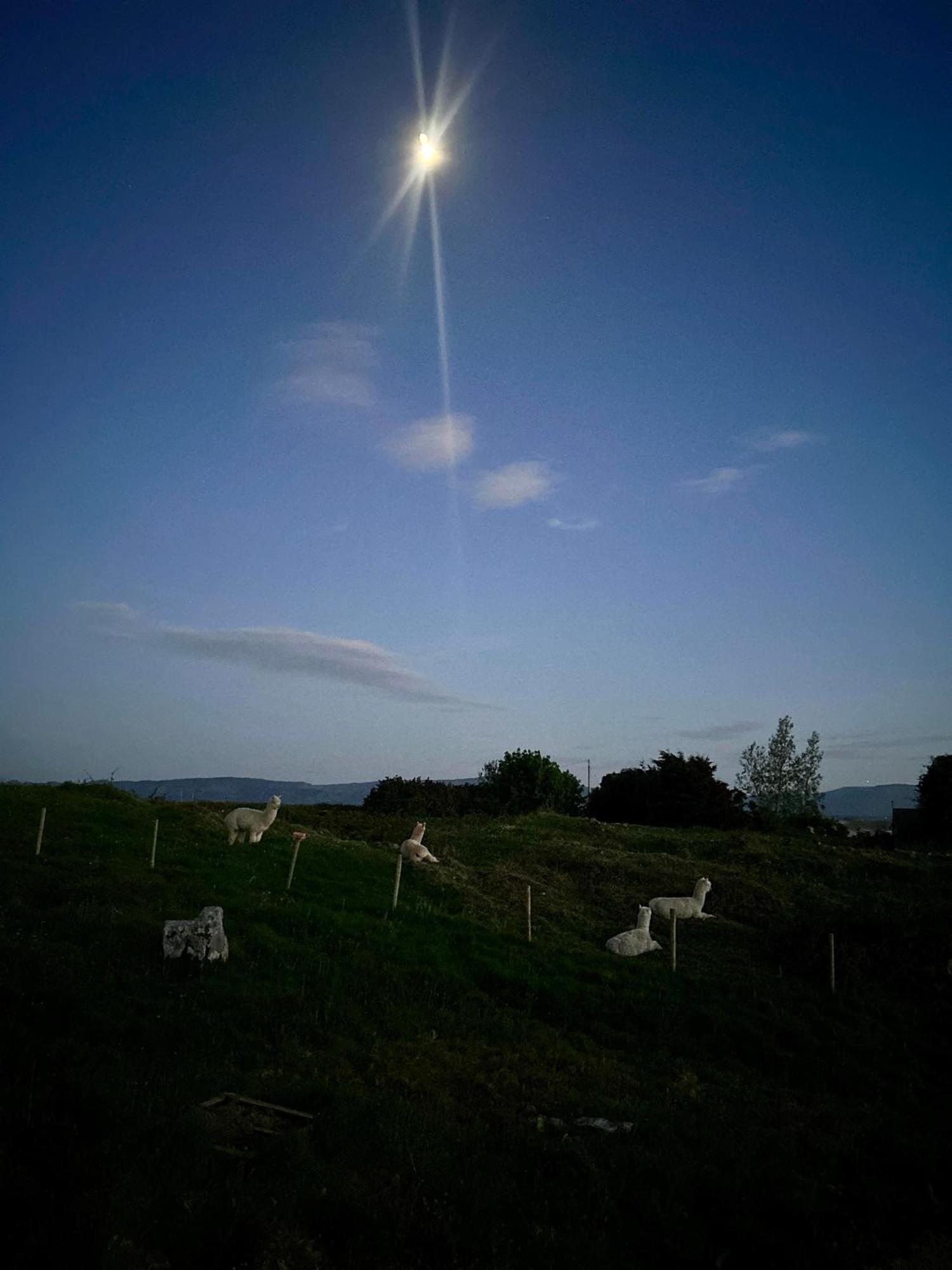 The Creevy Cabin Ballure Exteriör bild